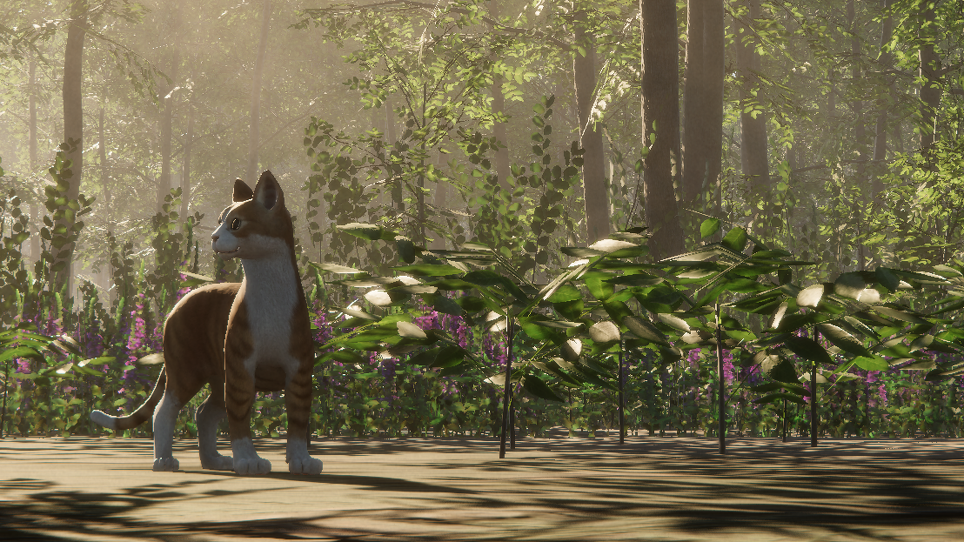 Cat in Become A Monarch